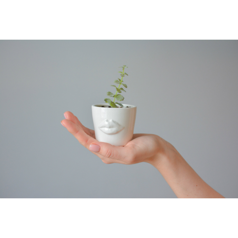 Набор для выращивания Eco мини-кашпо «Губы» ЭКОЧЕЛОВЕКИ MIN101 - Вид №2