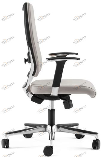 Arte & D Кресло руководителя вращающееся с 5-ю спицами и подлокотниками Shine C71 d / c73 d