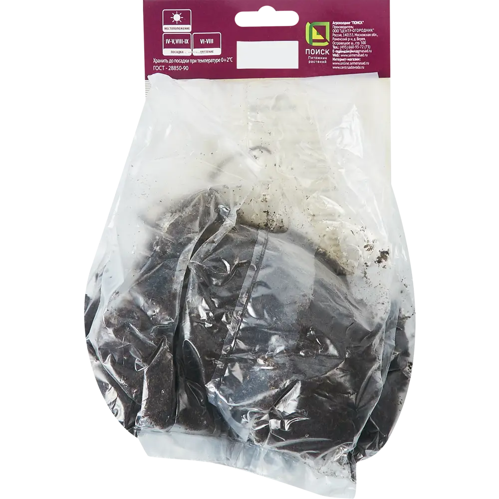 Ваточник инкарнатный Айс Бэлей ПОИСК STLM-2167156 - Вид №1