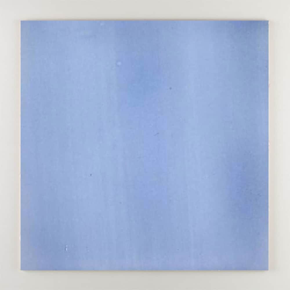 Пол / покрытие ручной работы La Riggiola одноцветный ARCH-00131013 - Вид №30