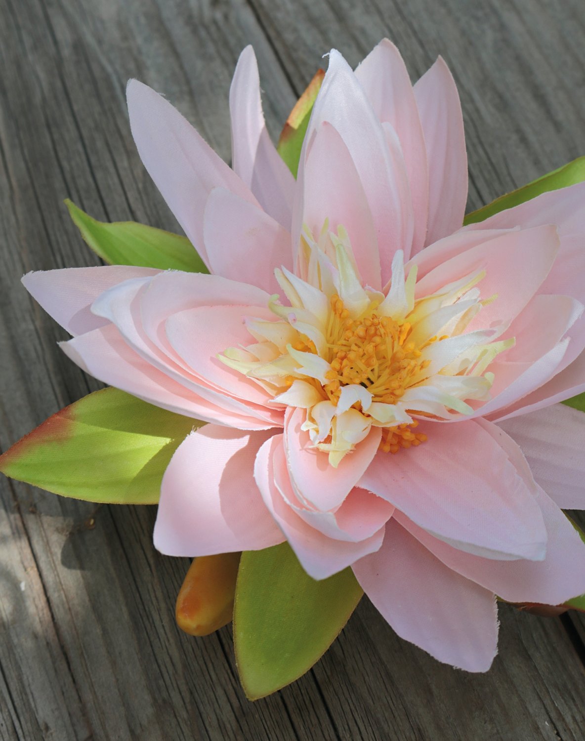 3900 500 a2 Шелковая кувшинка, плавающая, Ø 16 см, светло-розовая H-andreas  - Вид №1