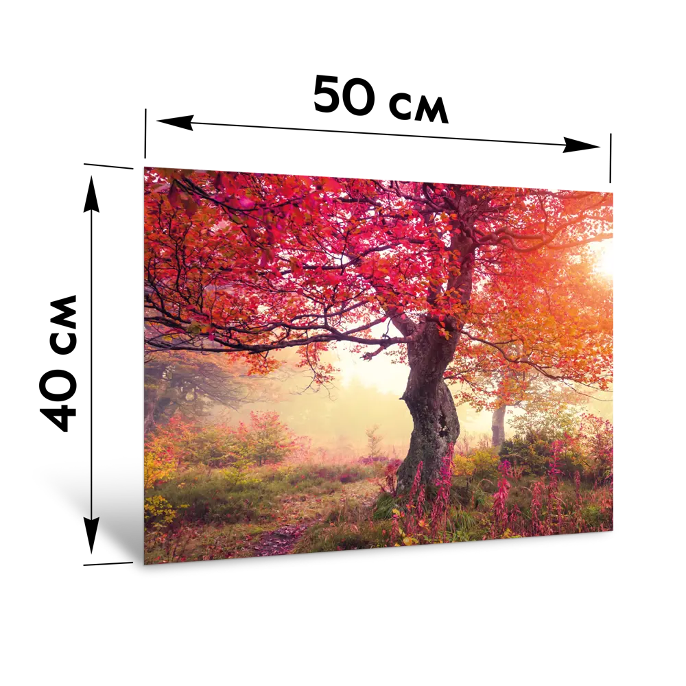 Картина на стекле Postermarket Красное дерево 40x50 см 87890639 STLM-2168344  - Вид №3