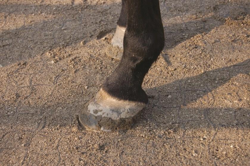 Geoplast Пластиковая решетка sun-id-1356985 - Вид №3