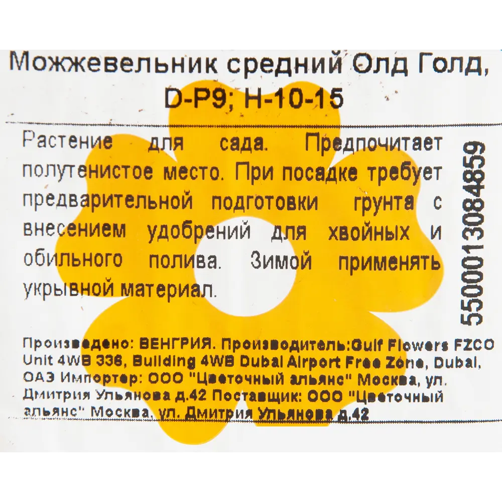 Можжевельник средний «Олд Голд» 9x12.5 см 82601671 STLM-2188267 Santreyd  - Вид №1