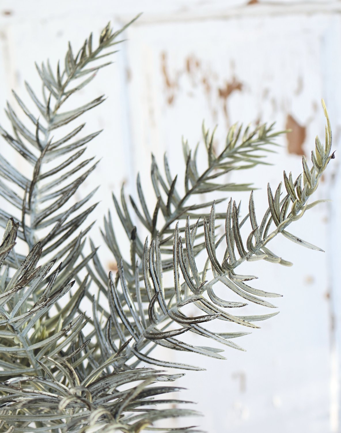 1163 888 a3 Куст искусственного кипариса, 40 см, темно-зеленый H-andreas 