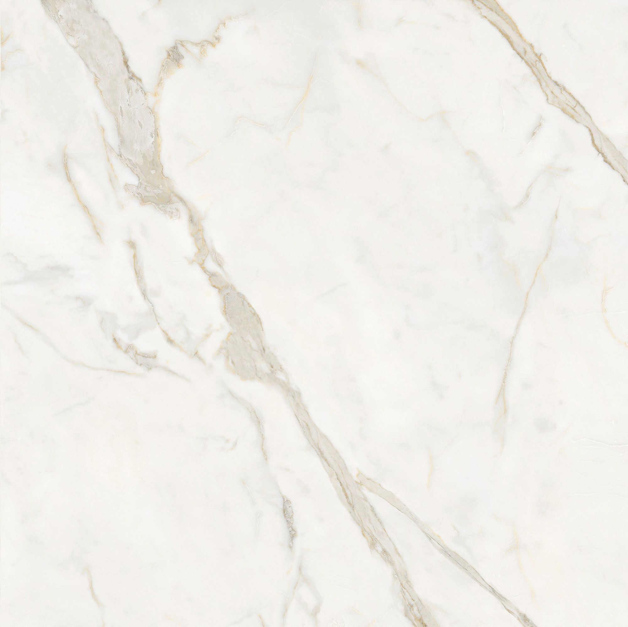 Пол / керамогранит с мраморным эффектом Italgraniti Marble Touch ARCH-00152884 - Вид №17