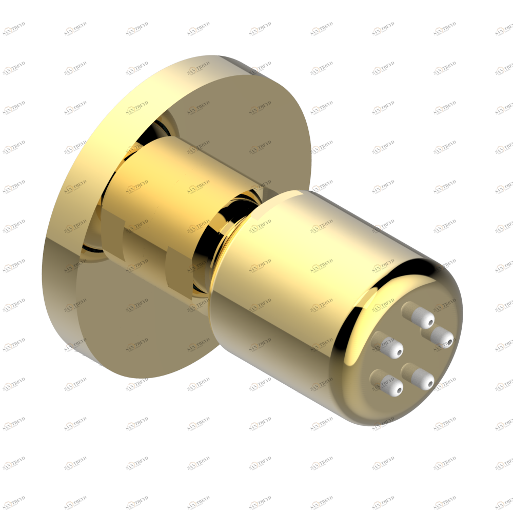 A46-290/B Форсунка гидромассажная встраиваемая в стену 1/2" с защитой от жёсткой воды Thg-paris Pomme с золочением Золото A46 290/B CAT.F