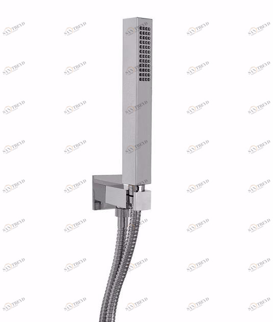 Rubinetteria Giulini Настенный ручной душ с опорой Pablolux F1540