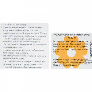 17892050 Рододендрон Блю Петер P9