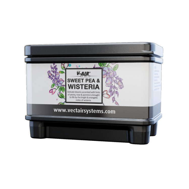 V-SOLIDP SWEET P VECTAIR SYSTEMS Профессиональный картридж ароматизатор воздуха V-Air Solid Plus Глициния со сладким горохом Черный (упаковка) 