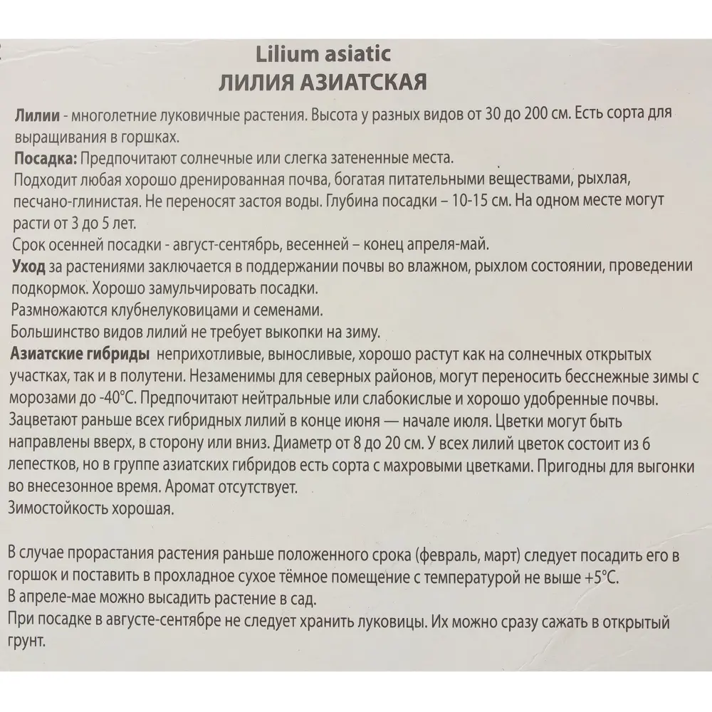 Луковица лилии Форевер Сьюзан - яркий оранжево-бордовый цветок для сада 81945453 Santreyd STLM-1580884 - Вид №2