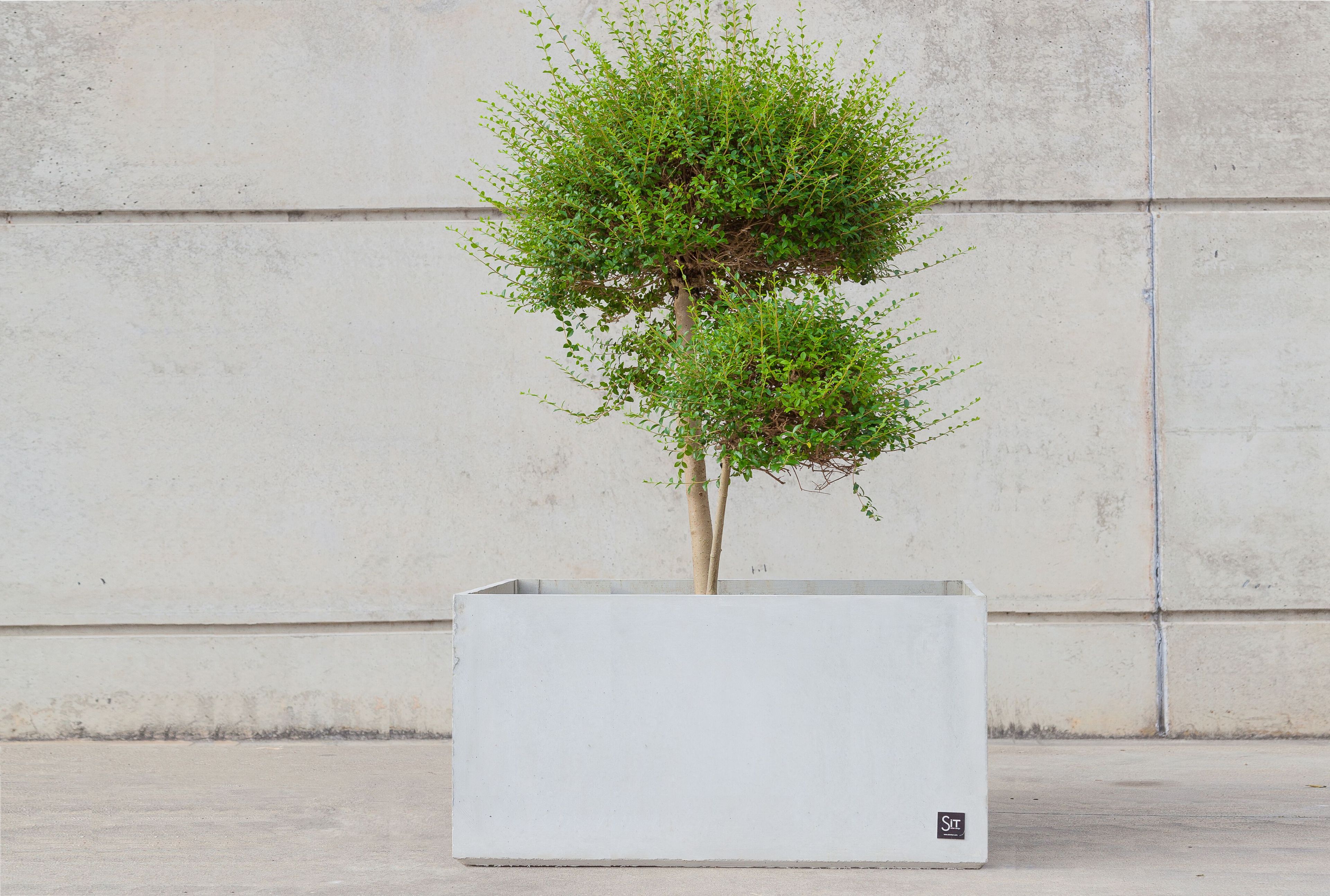 Квадратный плантатор из армированного волокном бетона SIT Cubic ARCH-00079442 - Вид №14