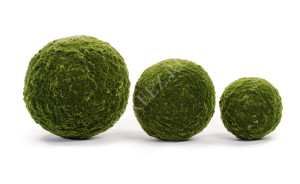 10.0617216 Шар из мха (Арт-объект) Цветочная коллекция