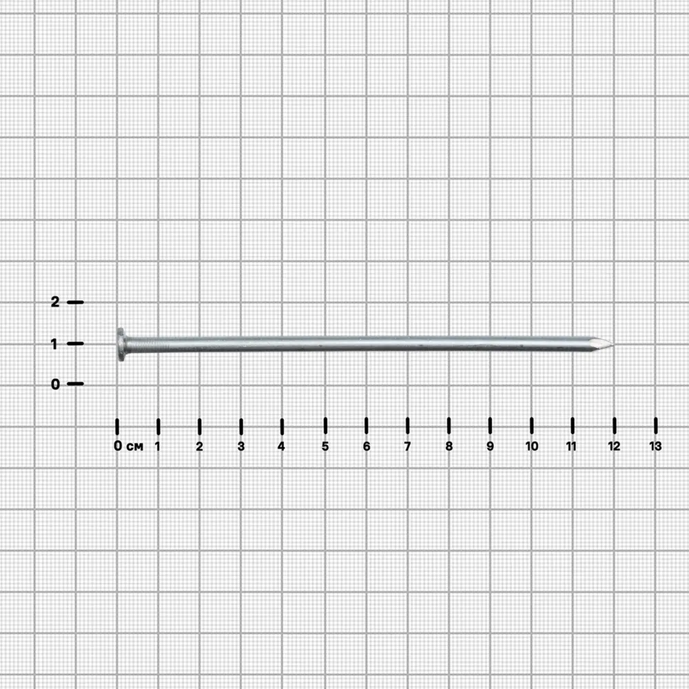 Строительные гвозди оцинкованные 4×120 мм, упаковка 1 кг 89396623 Santreyd STLM-1584596 - Вид №2