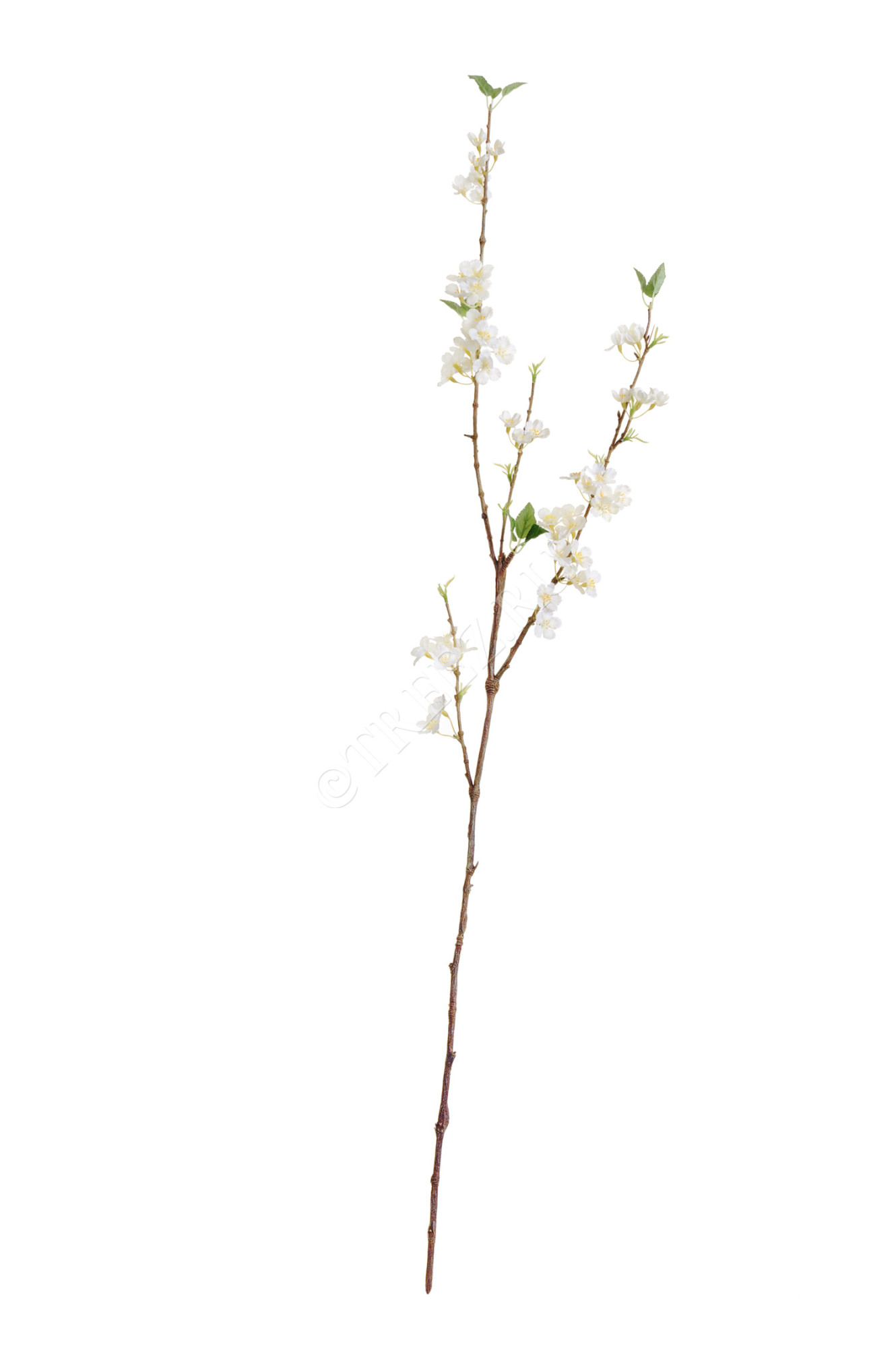 30.05170252WH Ветка Сакуры белая Нежные облака Цветочная коллекция 