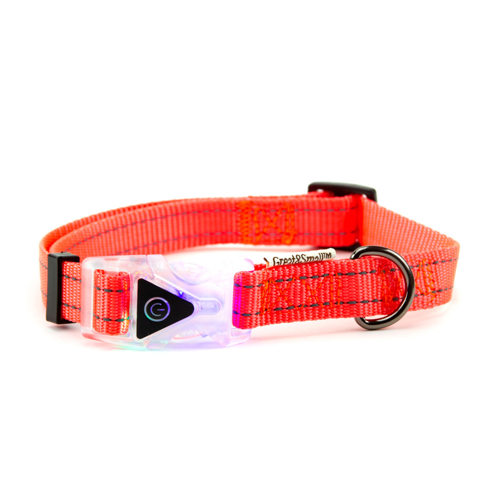 ПР0048469 Ошейник для собак со светящейся застежкой 400-550мм оранжевый Great&Small 