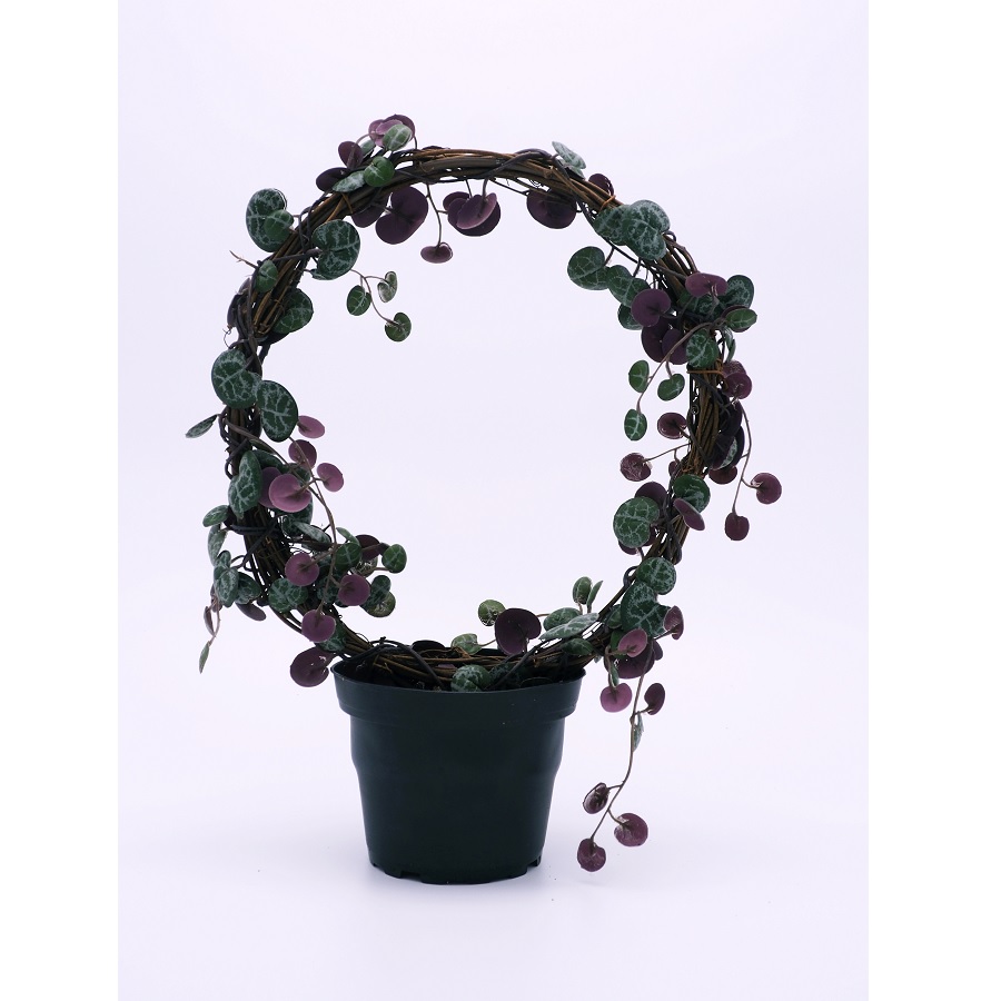 Церопегия искусственная Mr Plant 9012901 - Вид №1