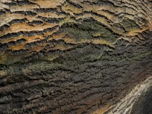 Artstone Panel Systems Панель из стекловолокна с поверхностью с эффектом коры