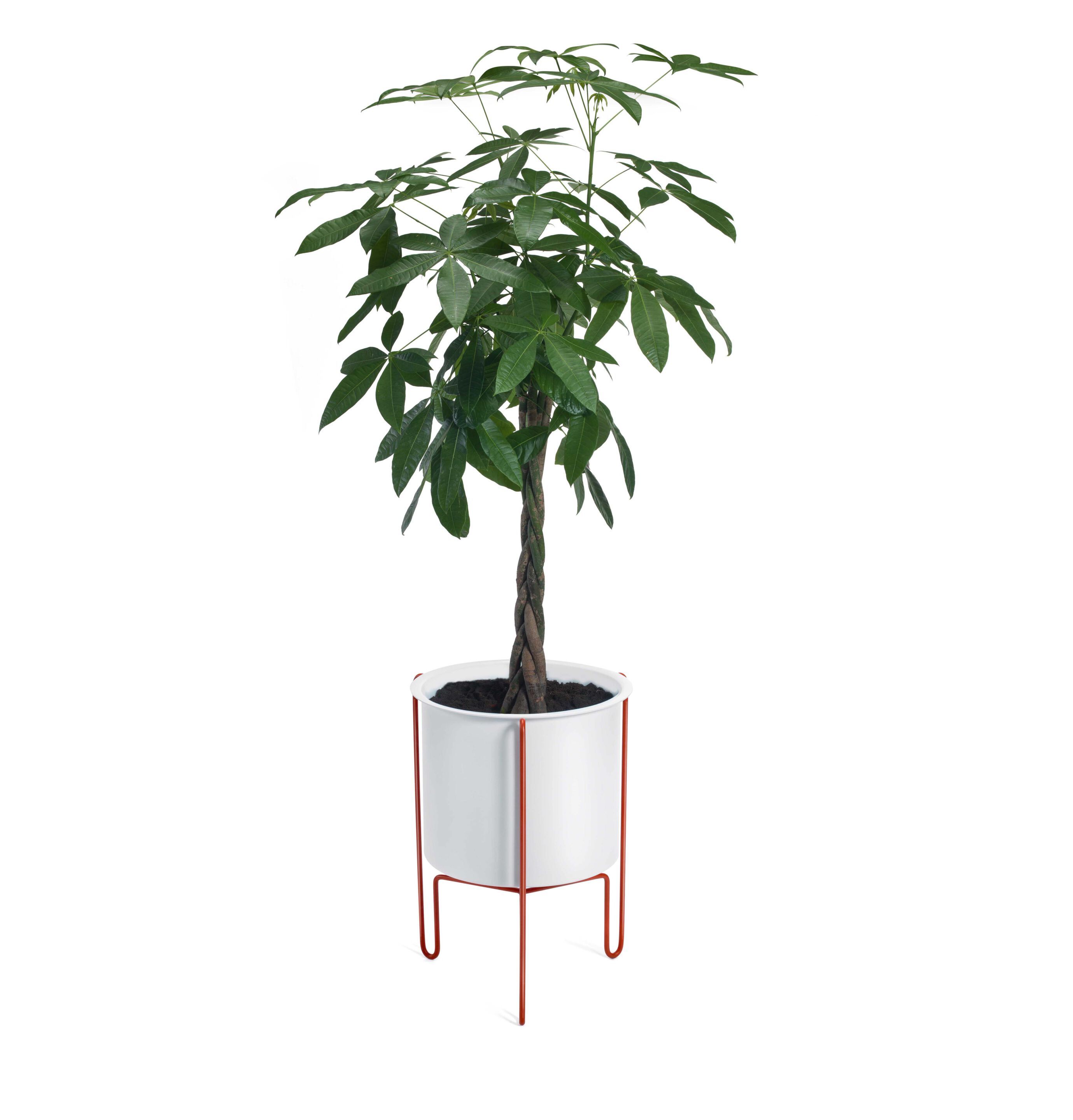 Алюминиевая круглая подставка для горшков GABER MERIDIUS PLANTER ARCH-00086088 - Вид №2