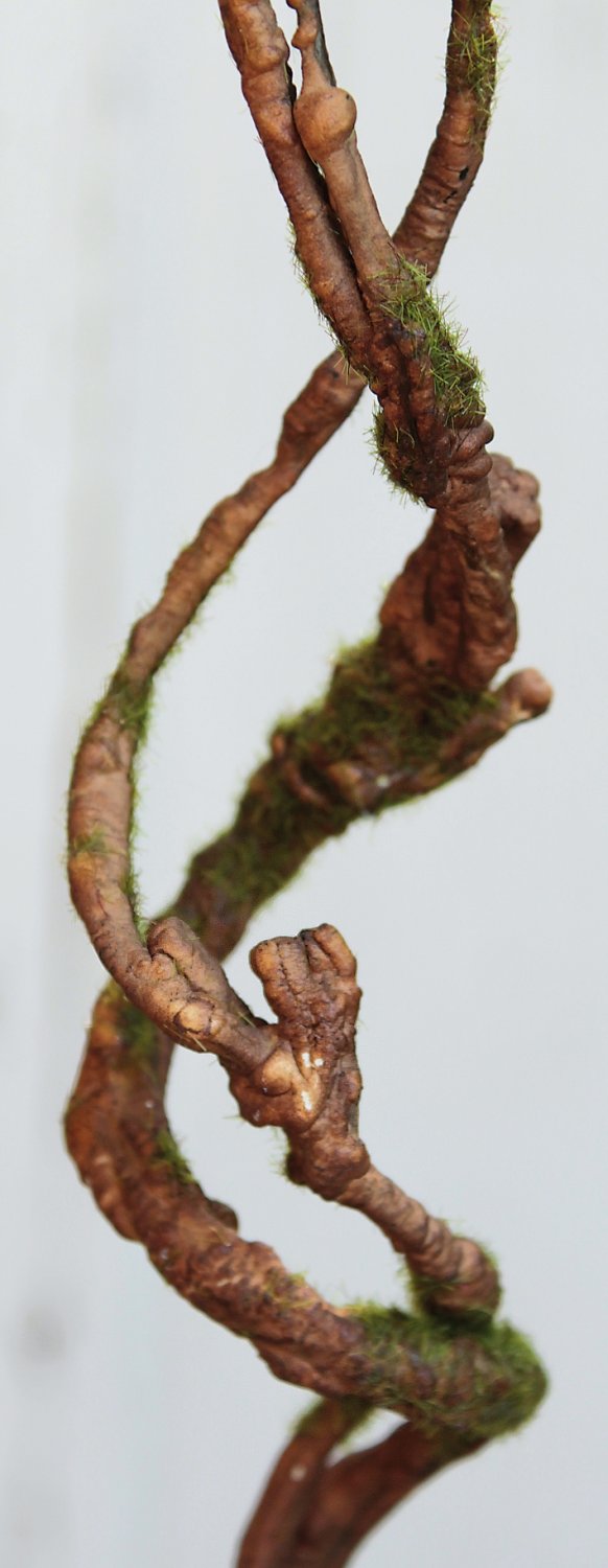 3398 666 a3 Ветка декоративная искусственная 'curly', 76 см, коричневая H-andreas  - Вид №1