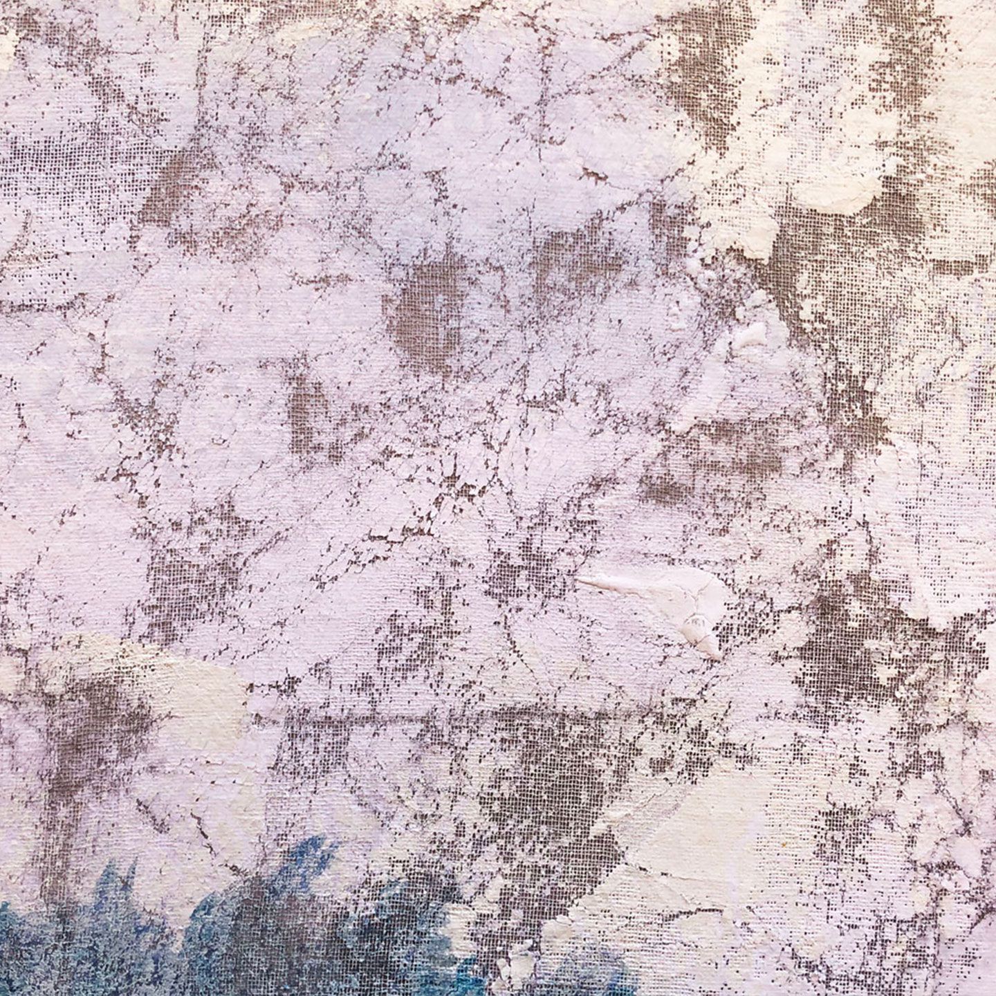 Холст рамки Agave NEBBIA INCANTATA ARCH-00075531 - Вид №4