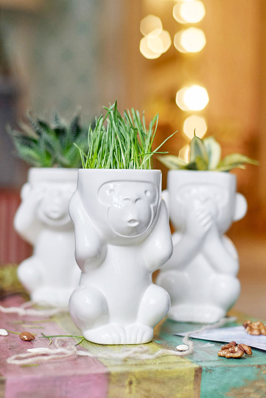 Горшок для растений Eco Молчун ЭКОЧЕЛОВЕКИ 2002 - Вид №2