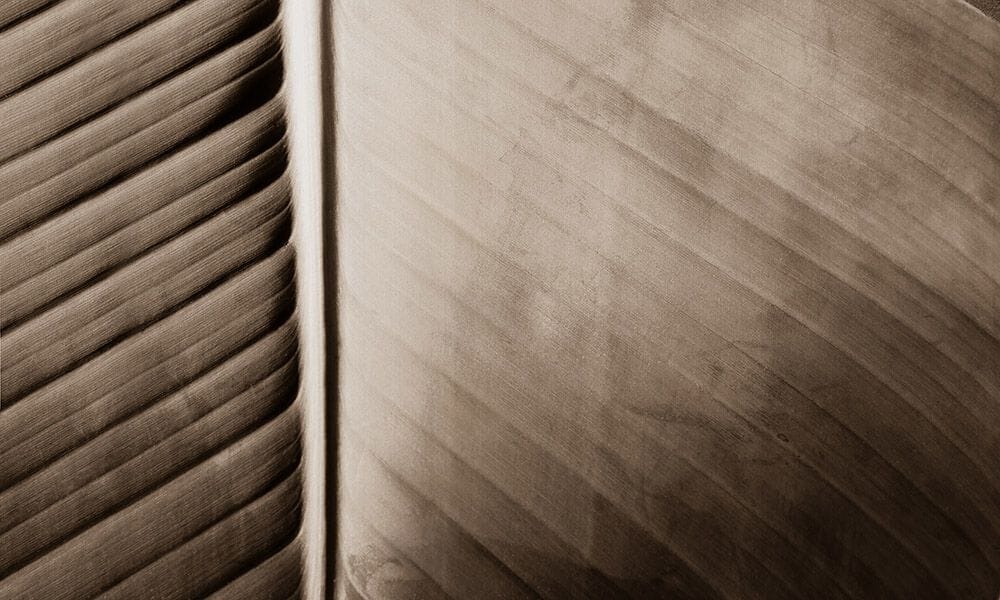 Обои с рисунком N.O.W. Edizioni MUSA ARCH-00129451 - Вид №3