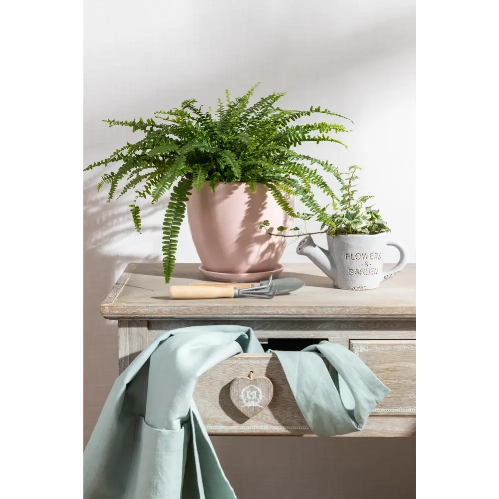 Инструм-Агро: Набор для ухода за растениями с лопатками и рыхлителем 14381115 STLM-0004832 - Вид №7