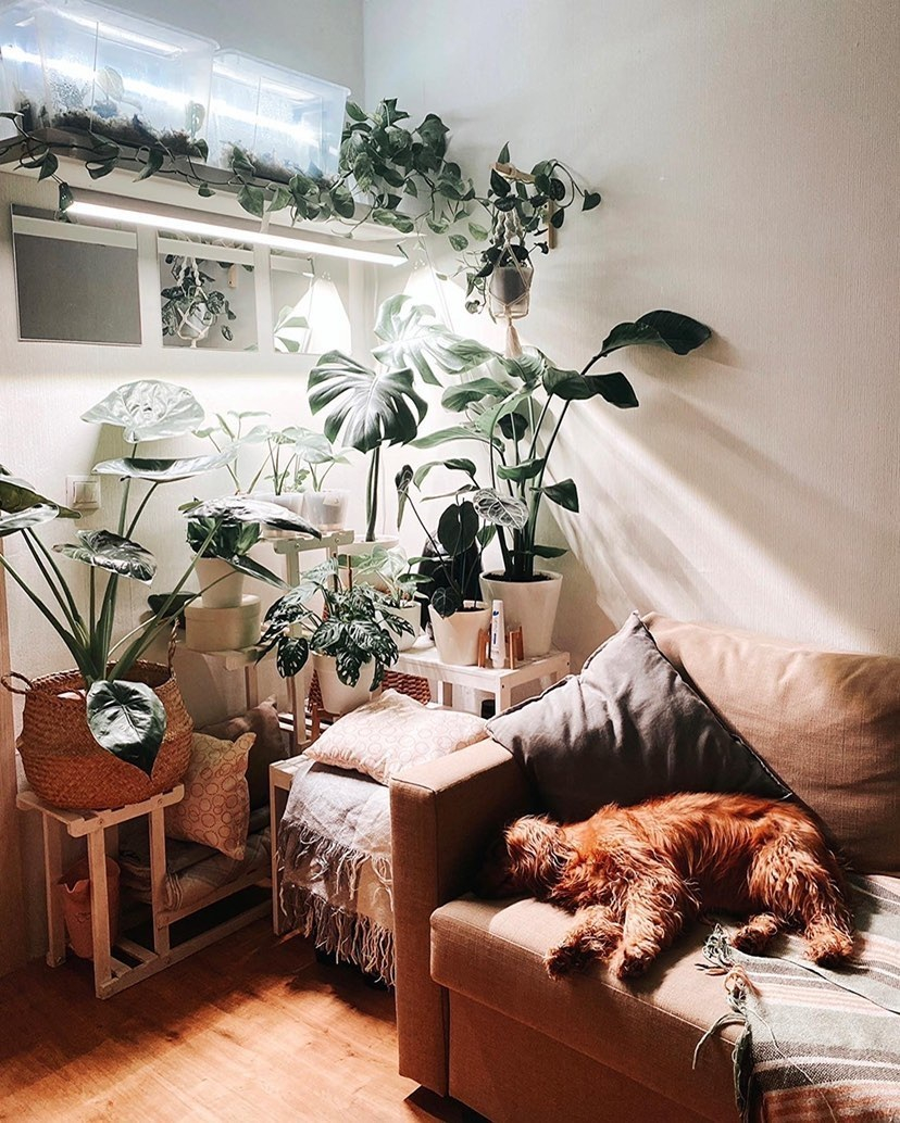 1119 Фитолампа для растений 50 Ватт. Длина 120 см LAB.Space  - Вид №6