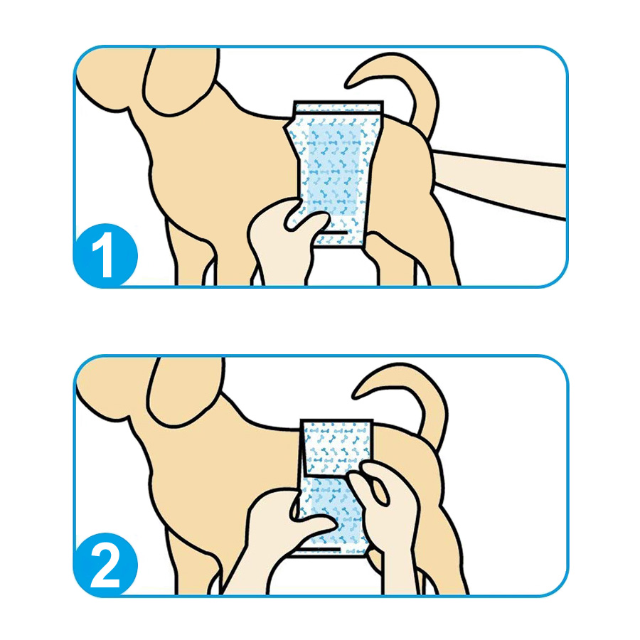 ПР0046994 Пояса Male Pet Diaper одноразовые впитывающие для кобелей размер М 10шт Dono  - Вид №1