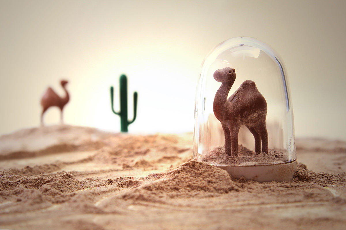 Ёмкости для специй в наборе Animal Parade Qualy QL10125WH - Вид №4