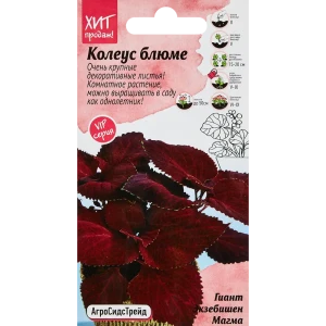 Семена цветов Агросидстрейд колеус Блюме Гиант Экзеб Магма