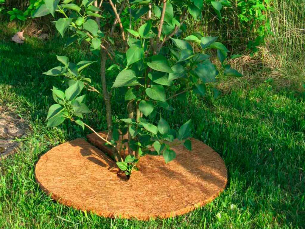 Круг приствольный Мульчаграм 30 см, комплект - 5шт ГеоПластБорд GPBST-234 - Вид №6