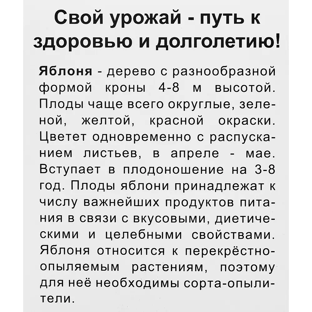 Яблоня карликовая Неженка короб h80 см 89353475 STLM-2038000 Santreyd  - Вид №3