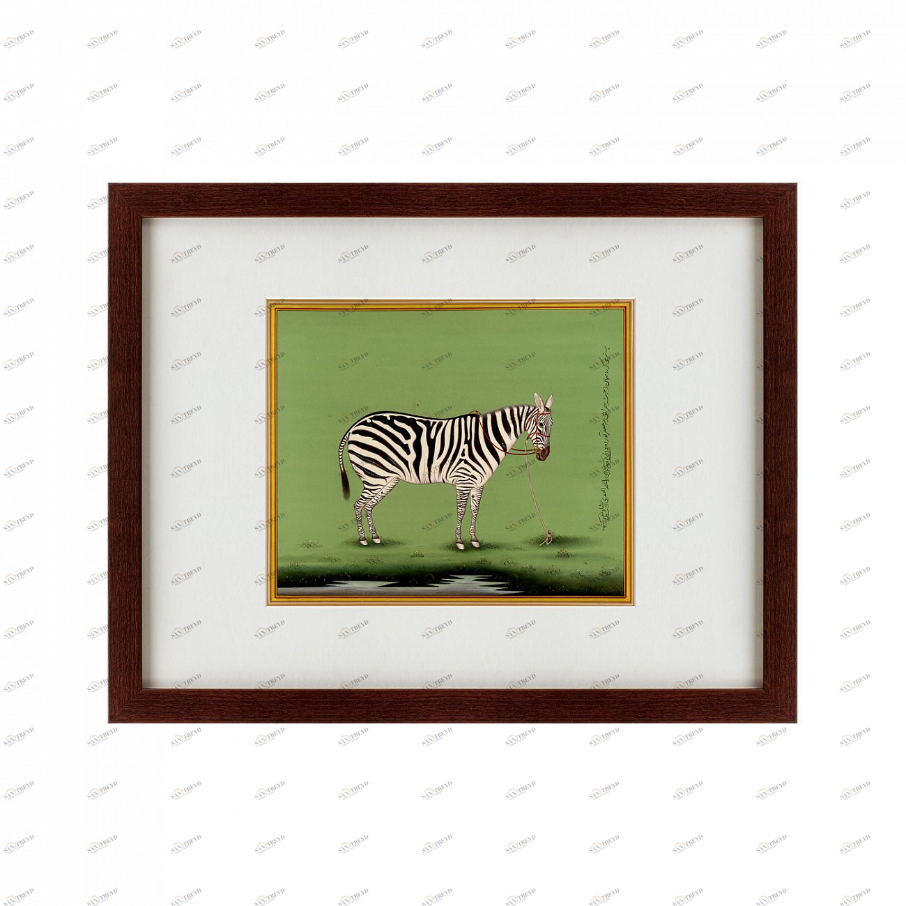 Картина в раме 60х47 см The zebra КАРТИНЫ В КВАРТИРУ  135664 Зеленый 