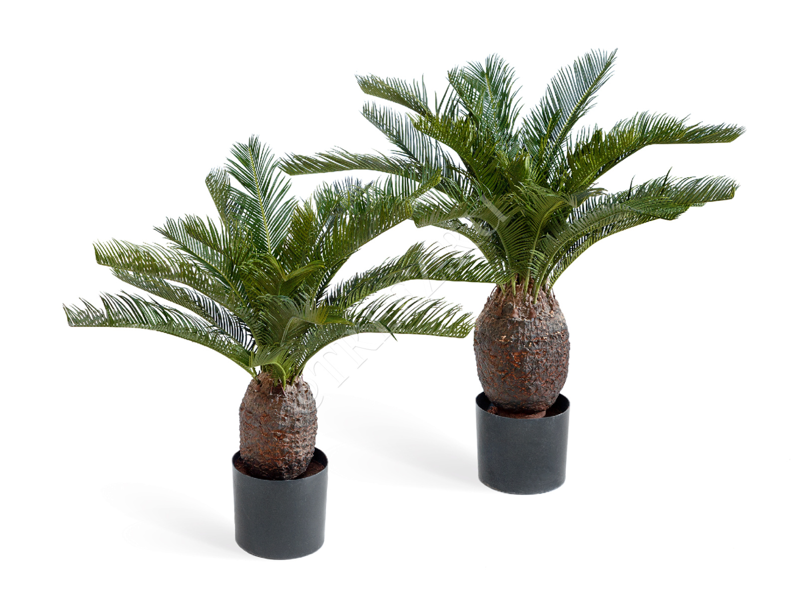 10.1526N Пальма Цикас 65 и 70 см Цветочная коллекция 