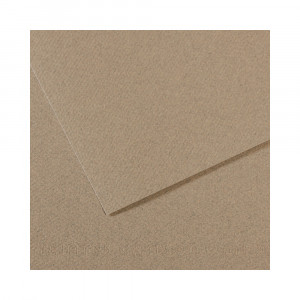 200331434 Бумага для пастели Mi-Teintes 160 г/м2 50 х 65 см лист №429 серая дымка Canson