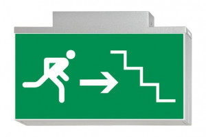 DST-772 Lisu ceiling-mounted Daisalux Светильники аварийные Серебристо-Серый