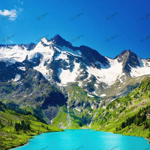 WP00727 Фотообои Verol Фотообои decoline 1х1 м