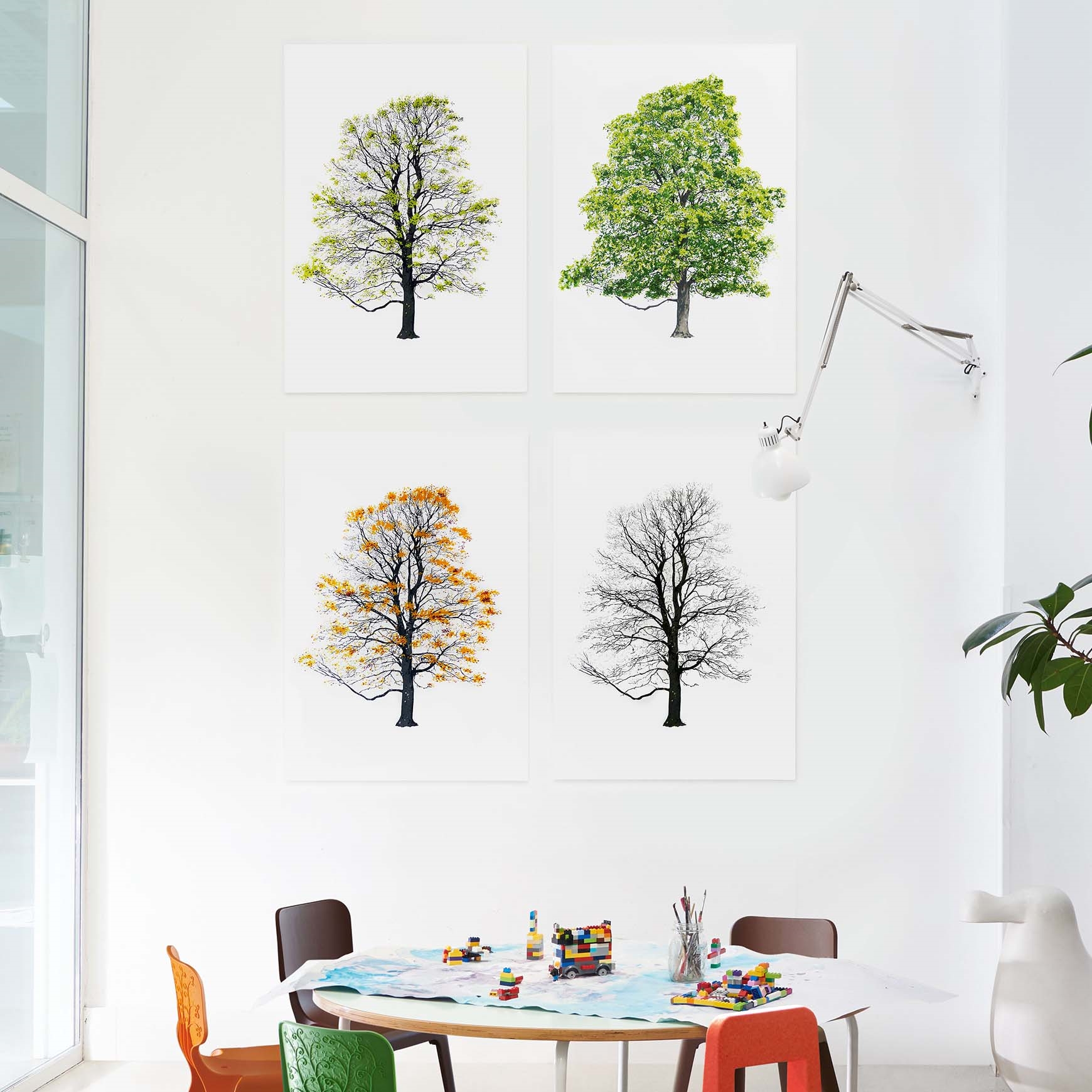 Дерево Magis sun-id-1329002 - Вид №8