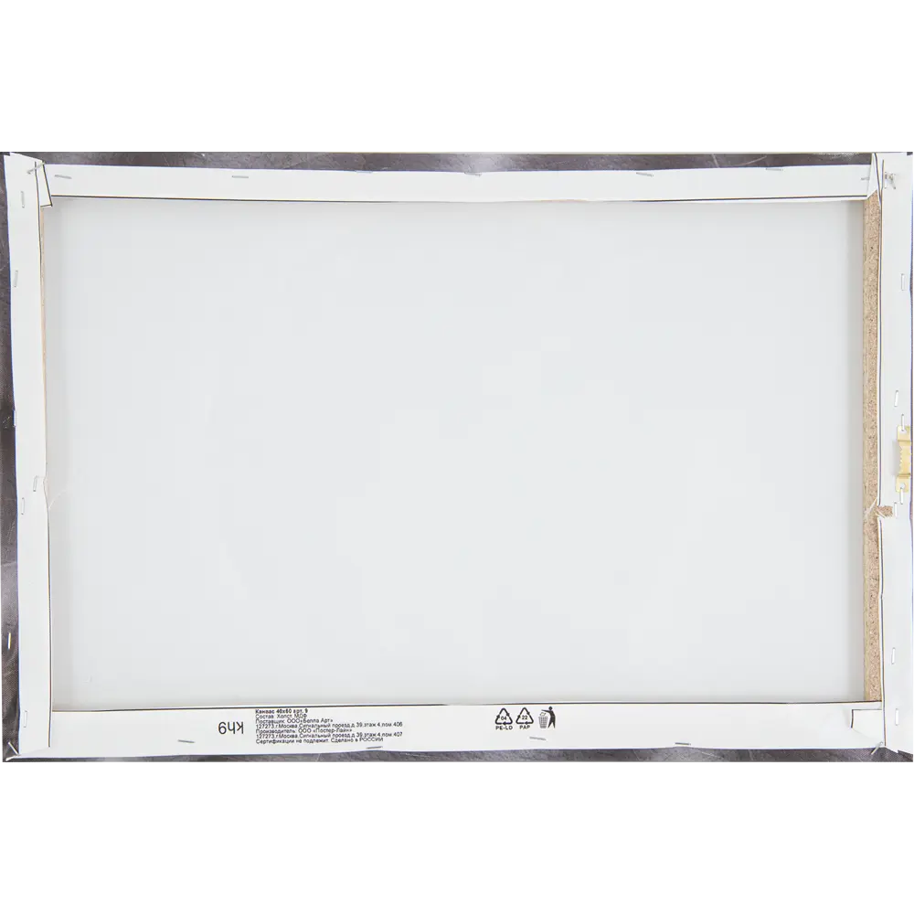 Картина на холсте Постер-лайн Листья монстеры 40x60 см 84267440 STLM-2204275  - Вид №2