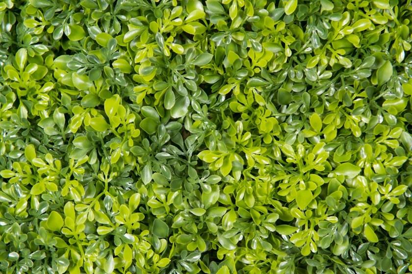 VGnewtrend Овощной каркас Vertical garden 1142356.60  - Вид №3