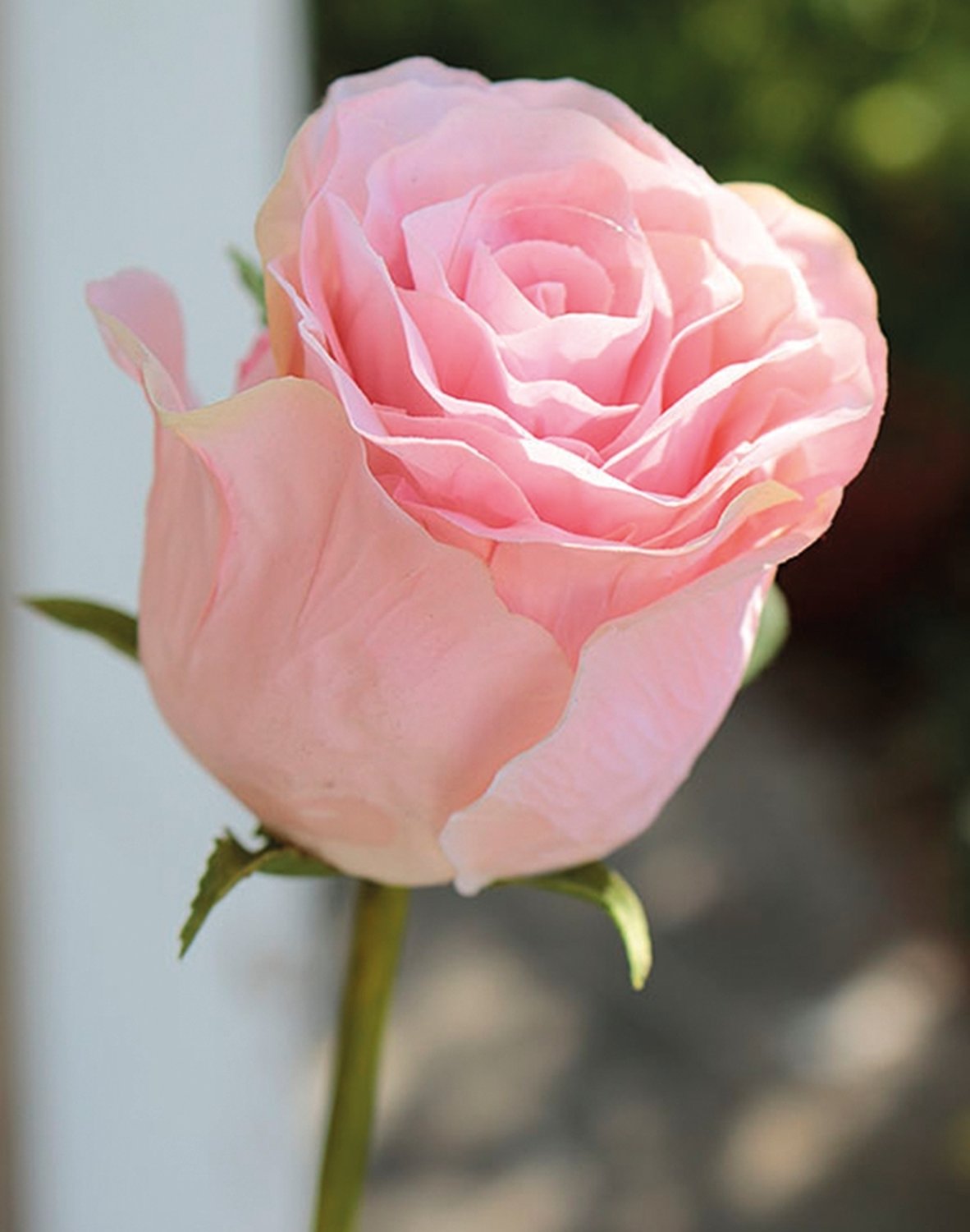 3256 510 a3 Роза искусственный цветок Duchesse, 85 см, розовая H-andreas  - Вид №3