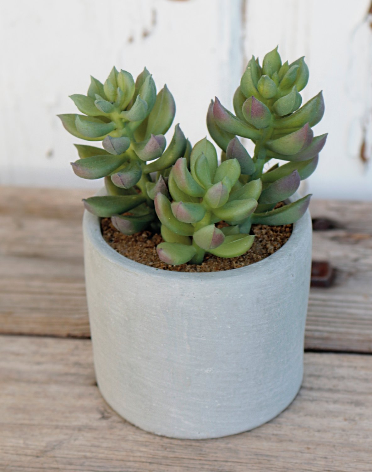 6068 883 a3 Пластиковые суккуленты-микс, в горшках, 3 шт., 10/14/17 см, зеленые H-andreas  - Вид №20