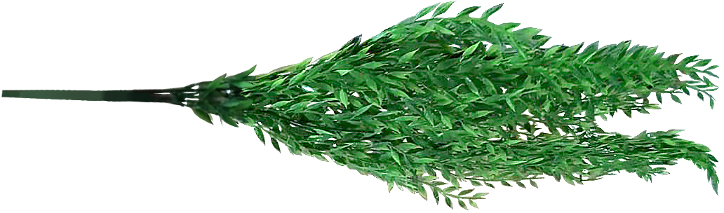 83618194 Искусственное растение подвесное Эсхинантус 90 см STLM-0042894 Santreyd