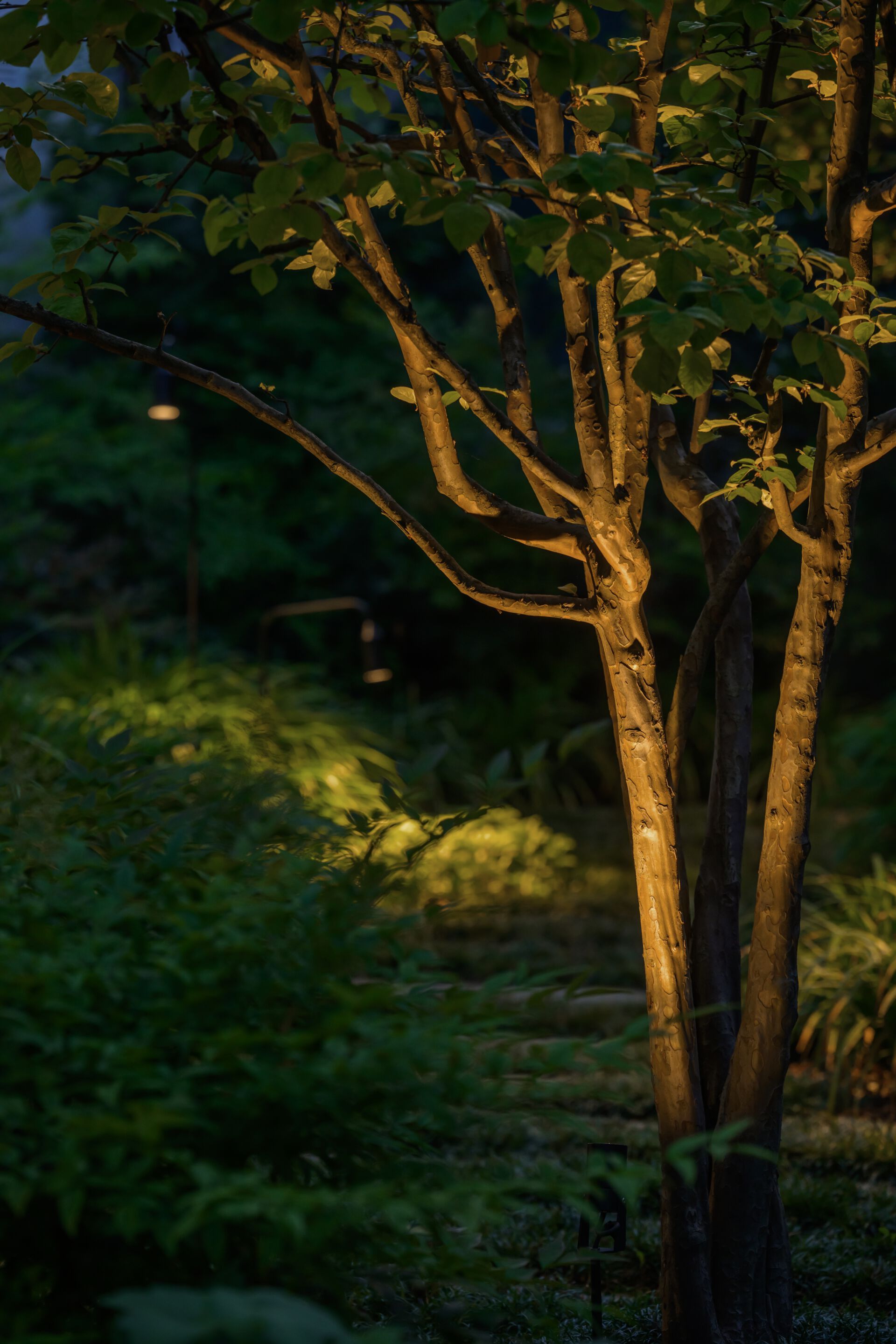 Регулируемый светодиодный прожектор из нержавеющей стали с защитой от царапин Platek Raygun ARCH-00137011 - Вид №2