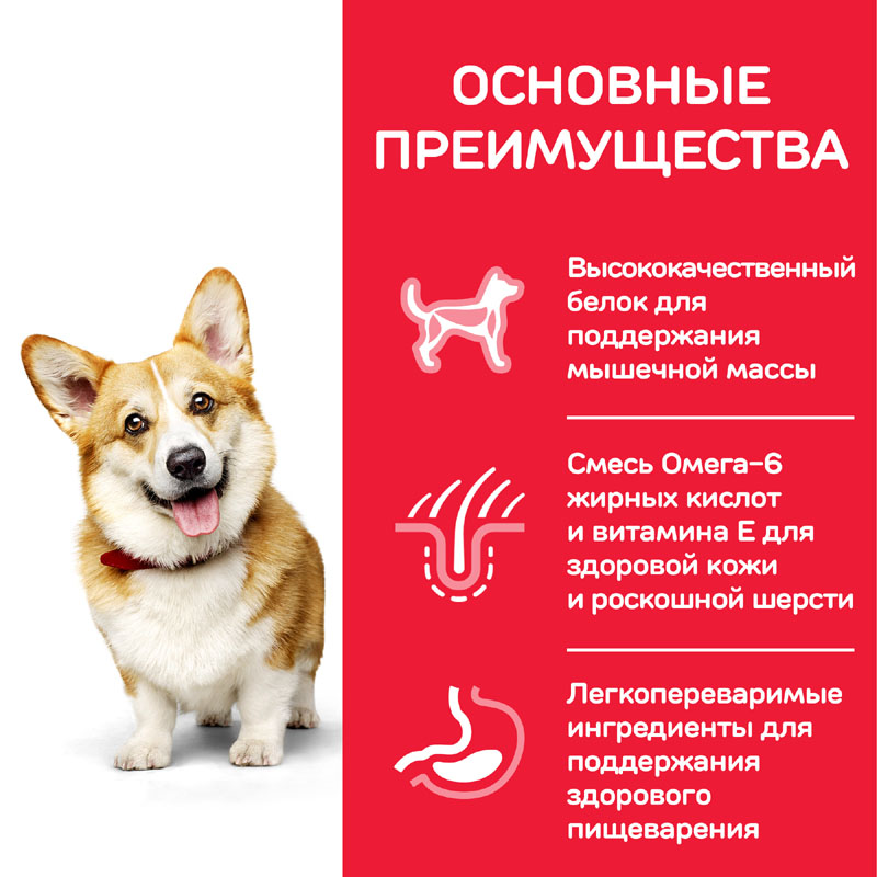 ПР0019716 Корм для собак Hill"s для миниатюрных пород, курица, индейка сух. 1,5кг Hill's  - Вид №3