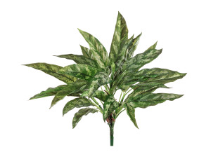 20.1119N Куст Сильвер Квин Цветочная коллекция