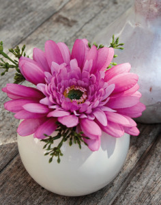 4215 505 a3 Искусственная гербера в керамическом горшочке, 12 см, светло-розово-темно-розовая H-andreas