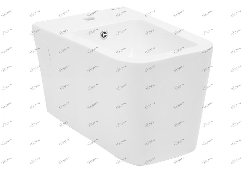 BL103WHB Биде подвесное TAVR Aquanet